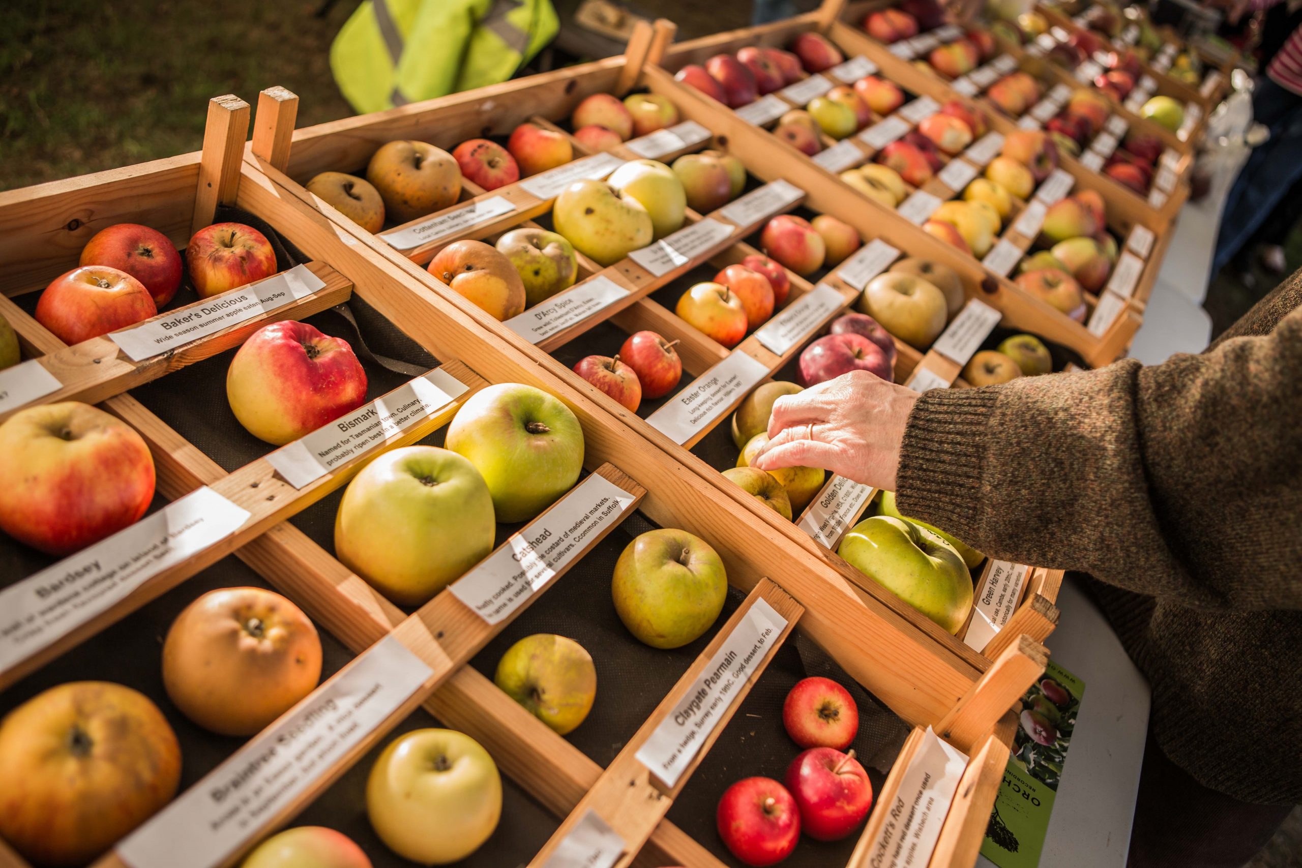 Apple Week