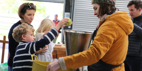 Apple Pressing Sessions