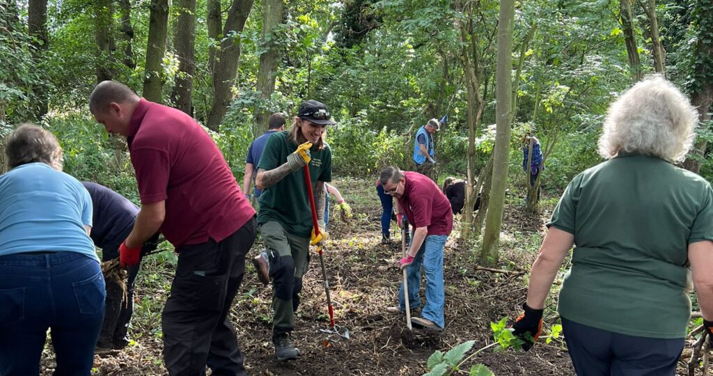 A Green Therapy course taking place at the museum