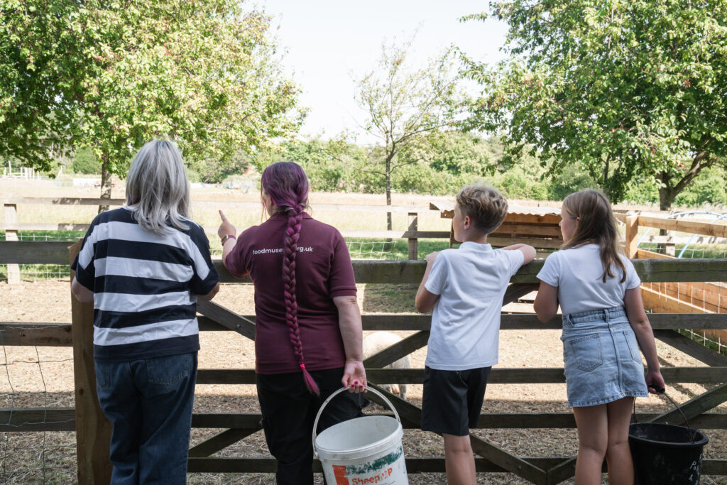Children and adults feeding animals