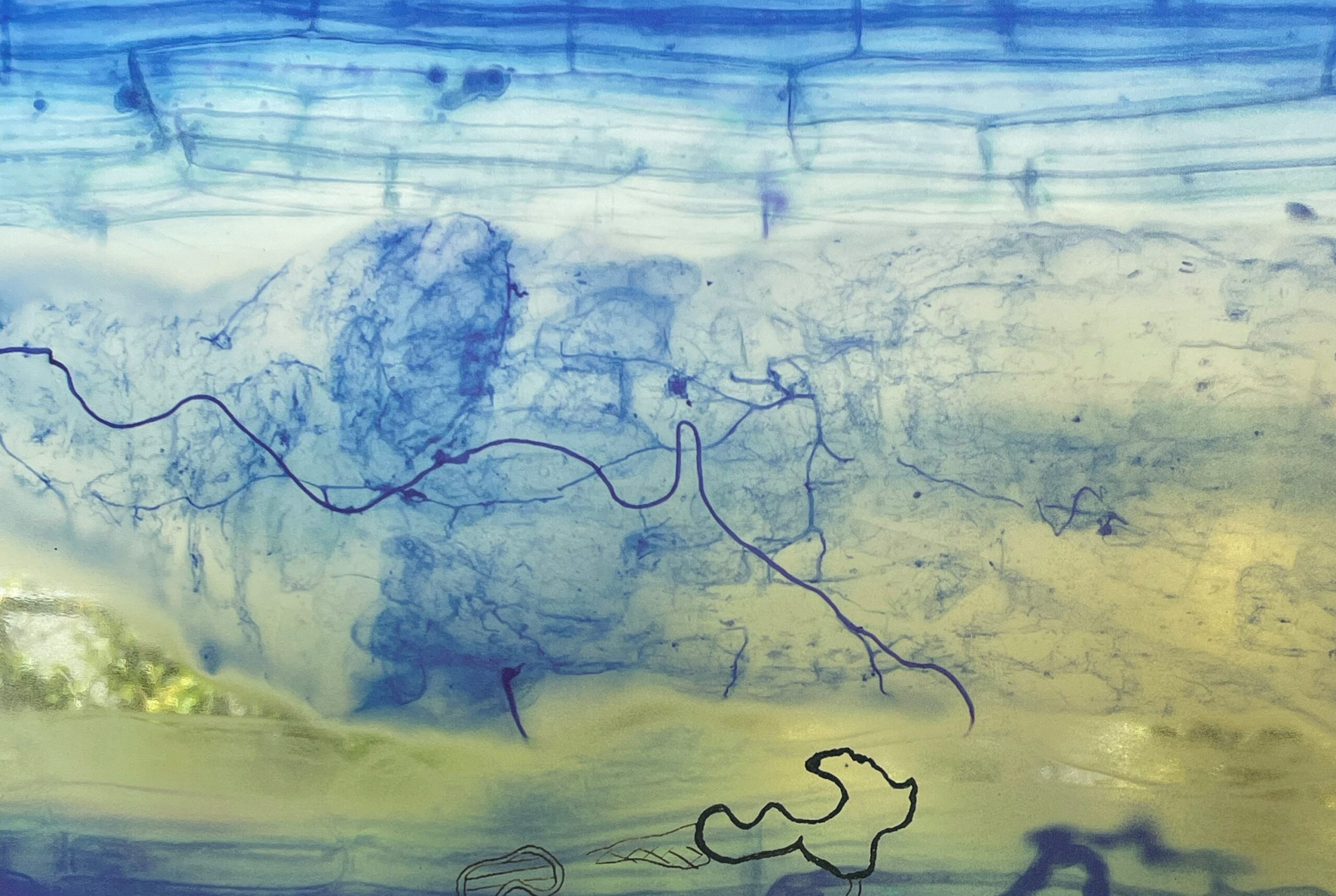 Branching Beneath the Fields Exhibition